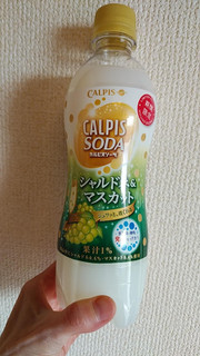 「カルピス カルピスソーダ シャルドネ＆マスカット ペット500ml」のクチコミ画像 by やっぺさん