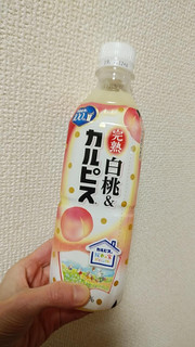 「カルピス 完熟白桃＆カルピス ペット500ml」のクチコミ画像 by やっぺさん