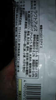 「井村屋 蜂蜜かりんとうアイス 袋80ml」のクチコミ画像 by チー錦さん