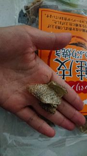 「長谷食品 北海道産 パリパリ鮭皮あぶり焼き 袋60g」のクチコミ画像 by ぴのこっここさん