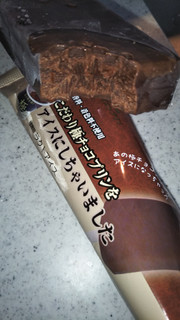 「アンデイコ 極 こだわり極チョコプリンをアイスにしちゃいました」のクチコミ画像 by チー錦さん