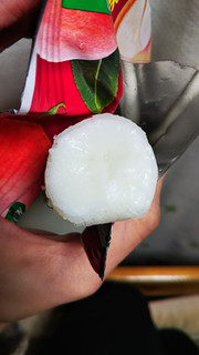 「江崎グリコ アイスの実 濃厚白桃ヨーグルト味」のクチコミ画像 by 高野アイスさん