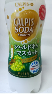 「カルピス カルピスソーダ シャルドネ＆マスカット ペット500ml」のクチコミ画像 by riko shibanumaさん