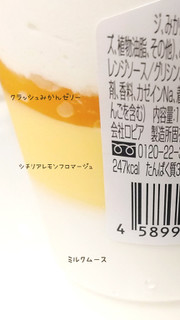 「ロピア ヨーグルトパフェ 柑橘ミックス」のクチコミ画像 by もぐのこさん