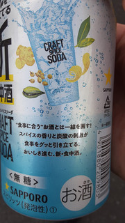 「サッポロ クラフトスパイスソーダ 缶350ml」のクチコミ画像 by Taresuさん