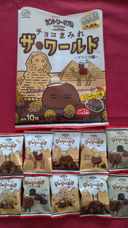 「不二家 カントリーマアム チョコまみれ ザ・ワールド アフリカ編 ミドルパック 袋102g」のクチコミ画像 by お菓子loveさん