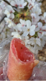 「デリフランス もちもちとしたドーナツ 桜風味」のクチコミ画像 by 毎日が調整日さん