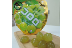 リアル食感グミの「コロロ」に“マスカット”味が新発売です！