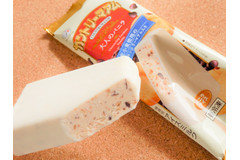 【美味しくないワケがない！】新しくなった「カントリーマアムアイス」がカントリーマアム過ぎる！