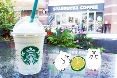 【スタバ】最強カスタム！「キーライム クリーム & ヨーグルト フラペチーノ」がおいしすぎて困る！
