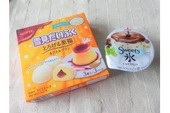 【発売前から注目度大！】みんなが気になる新発売アイス！ チョコミントvsプリン味 あなたはどちらのアイスを食べたい？