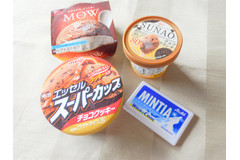 【コラボレシピ】秋冬はチョコミントのアイスが少ないから自作してみた！