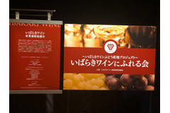 フルーティーなのにまろやかな甘さ！いばらきのワインが美味しい