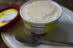 ハーゲンダッツ新作「ゆずのブランマンジェ」ミルクの濃厚感がたまらない！