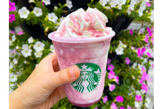 【スタバ新作】山梨県産の芳醇なぶどうの甘みと、ホワイトチョコのハーモニー♡『山梨 ててっ！！ ぶどう ホワイト チョコレート クリーム フラペチーノ®』をレポート