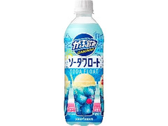  ペット500ml