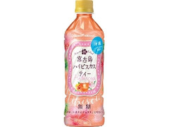 ポッカサッポロ 宮古島ハイビスカスティー ペット500ml