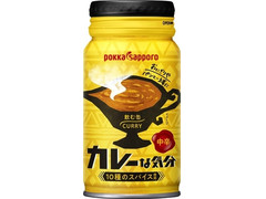 ポッカサッポロ カレーな気分 中辛 商品写真