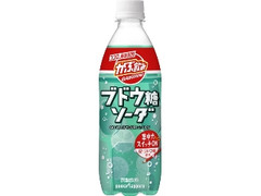  ペット500ml