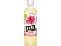  ペット500ml