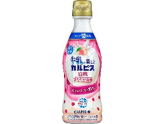 カルピス 牛乳と楽しむカルピス 白桃 ボトル300ml