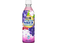  ペット500ml