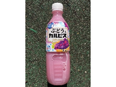 カルピス ぶどう ペット500ml