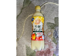  ペット500ml