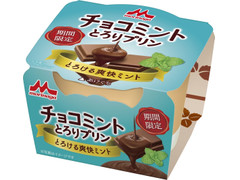 森永 チョコミント とろりプリン 商品写真