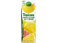 100％ まるごと果実感 グレープフルーツ パック900ml