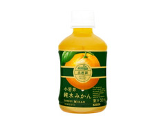  ペット280ml