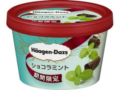 ハーゲンダッツ ミニカップ ショコラミント カップ110ml