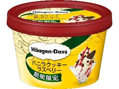 ハーゲンダッツ ミニカップ バニラクッキーラズベリー カップ110ml