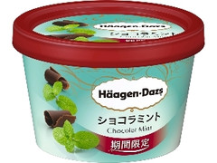 ハーゲンダッツ ミニカップ ショコラミント カップ110ml