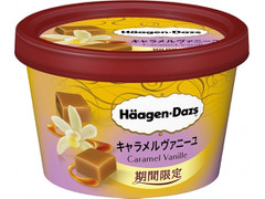 ハーゲンダッツ ミニカップ キャラメルヴァニーユ 商品写真