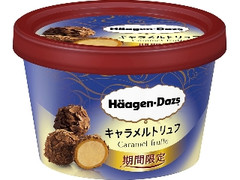 ハーゲンダッツ ミニカップ キャラメルトリュフ カップ110ml