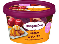 ハーゲンダッツ ミニカップ 林檎のカラメリゼ 商品写真