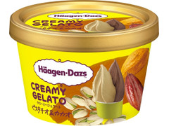 ハーゲンダッツ CREAMY GELATO ピスタチオ＆カカオ 商品写真