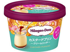 ハーゲンダッツ カスタードプリン クリームリッチ