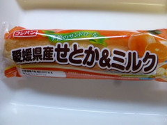 フジパン 季節のサンドロール 愛媛県産せとか＆ミルク 商品写真