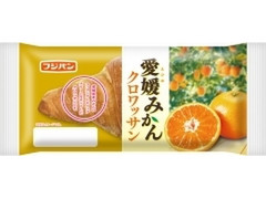 フジパン 愛媛みかんクロワッサン