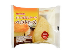 木村屋 ジャンボむしケーキ ベイクドチーズ 商品写真