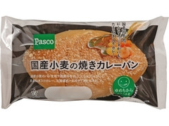 Pasco 国産小麦の焼きカレーパン 商品写真