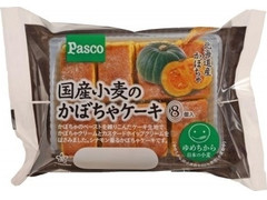 Pasco 国産小麦のかぼちゃケーキ 商品写真