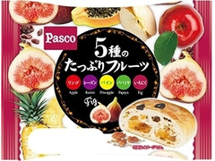 Pasco 5種のたっぷりフルーツ リンゴ、レーズン、パイン、パパイヤ、いちじく