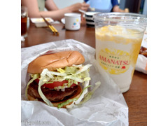 モスバーガー ダブルモス野菜バーガー 商品写真