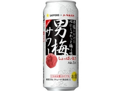 サッポロ 男梅サワー 缶500ml