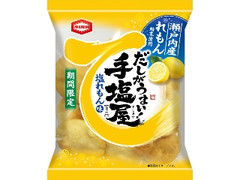 手塩屋ミニ 塩れもん味 袋55g