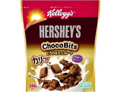 HERSHEY’S チョコビッツ とろけるチョコレート 商品写真