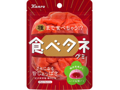 カンロ 食べタネグミ 梅干し 商品写真